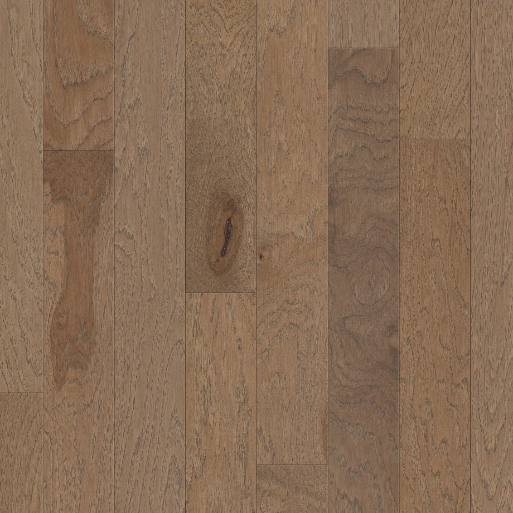 Shaw Hickory Thatch hardwood flooring — primary plank view