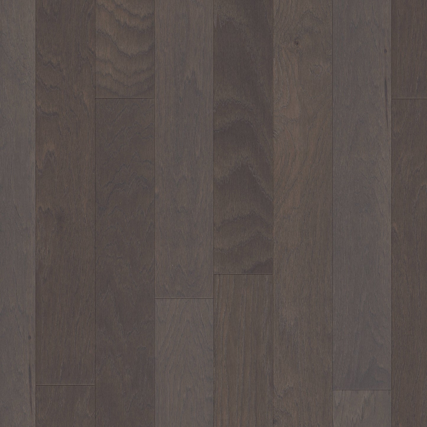 Shaw Hickory Boulder hardwood flooring — primary plank view