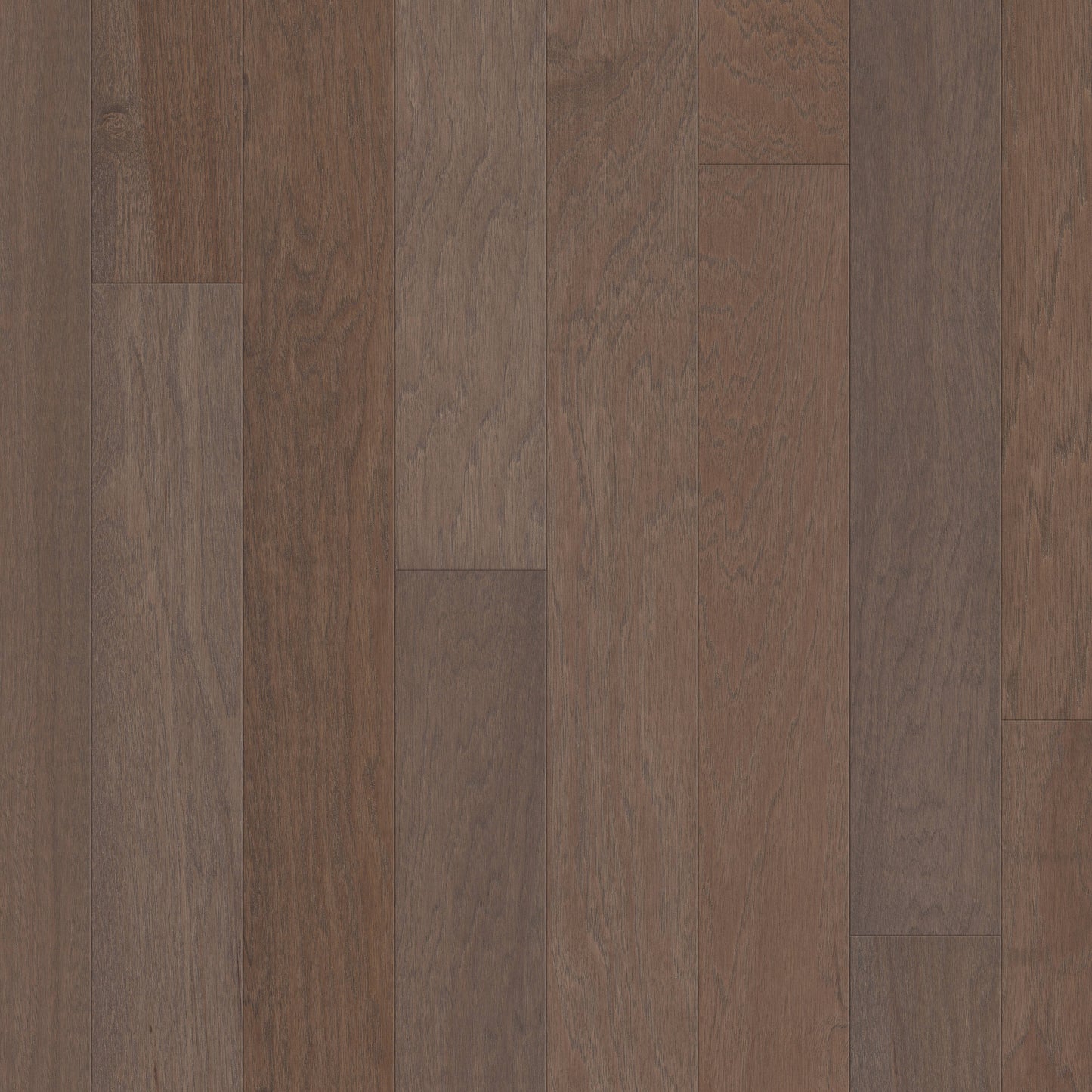 Shaw Hickory Wild Oak hardwood flooring — primary plank view