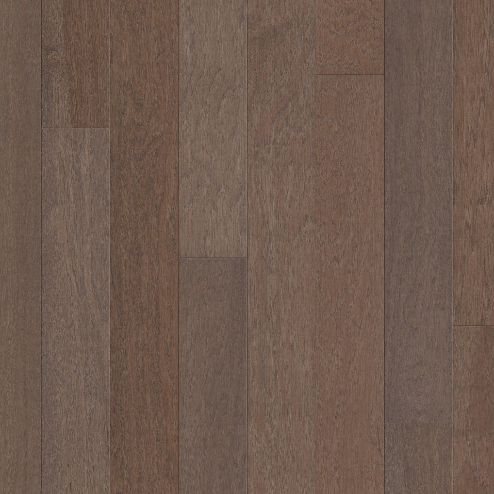 Shaw Hickory Wild Oak hardwood flooring — primary plank view