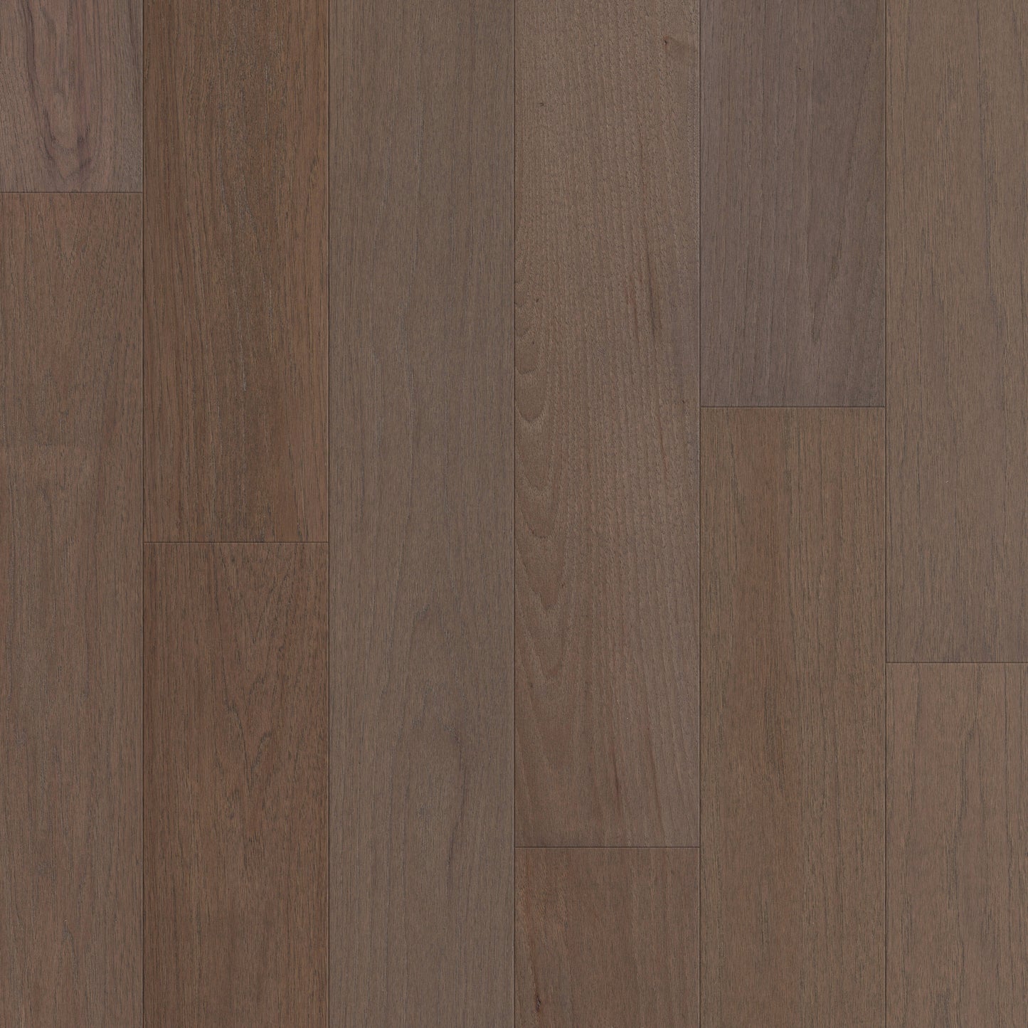 Shaw Hickory Baywater hardwood flooring — primary plank view