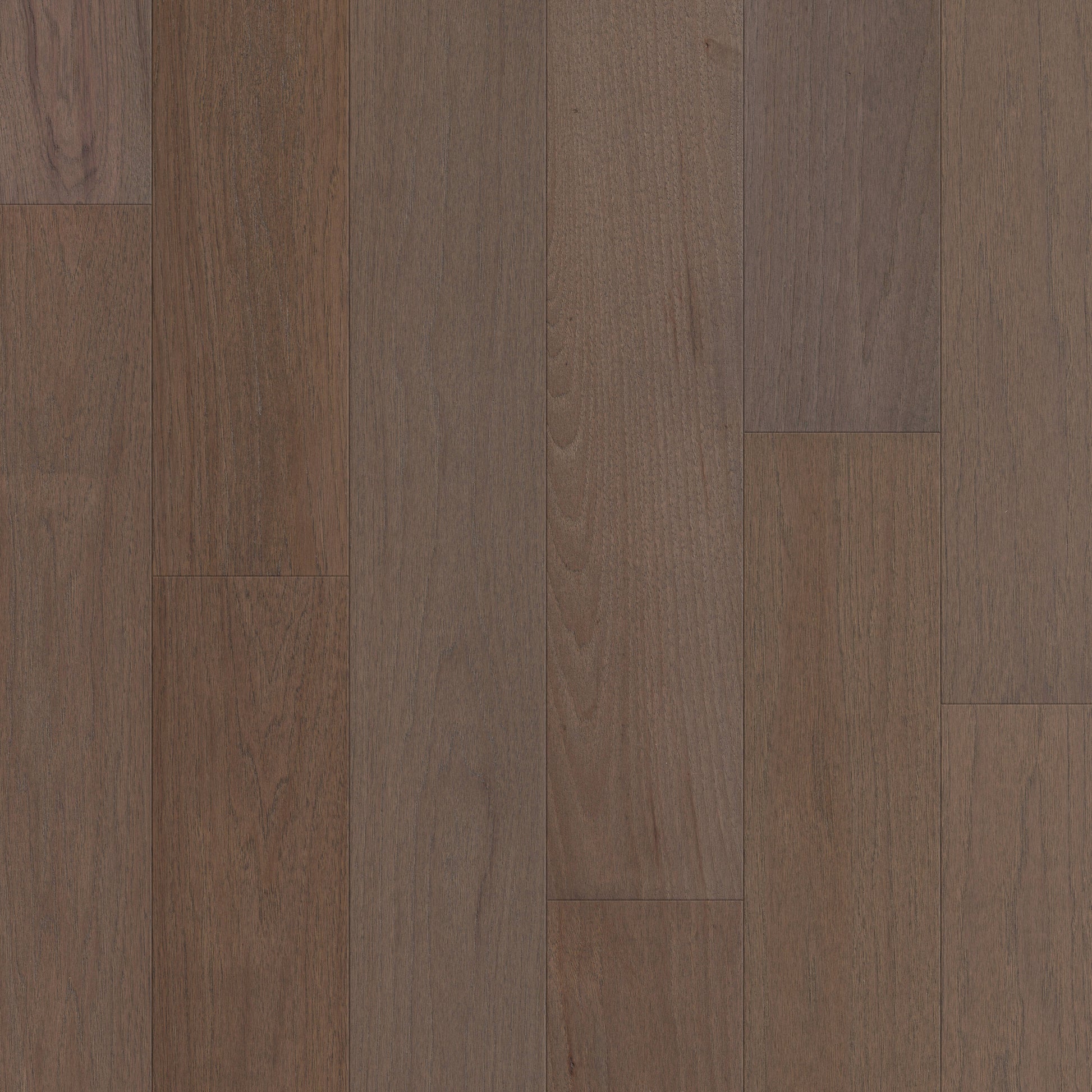 Shaw Hickory Baywater hardwood flooring — primary plank view