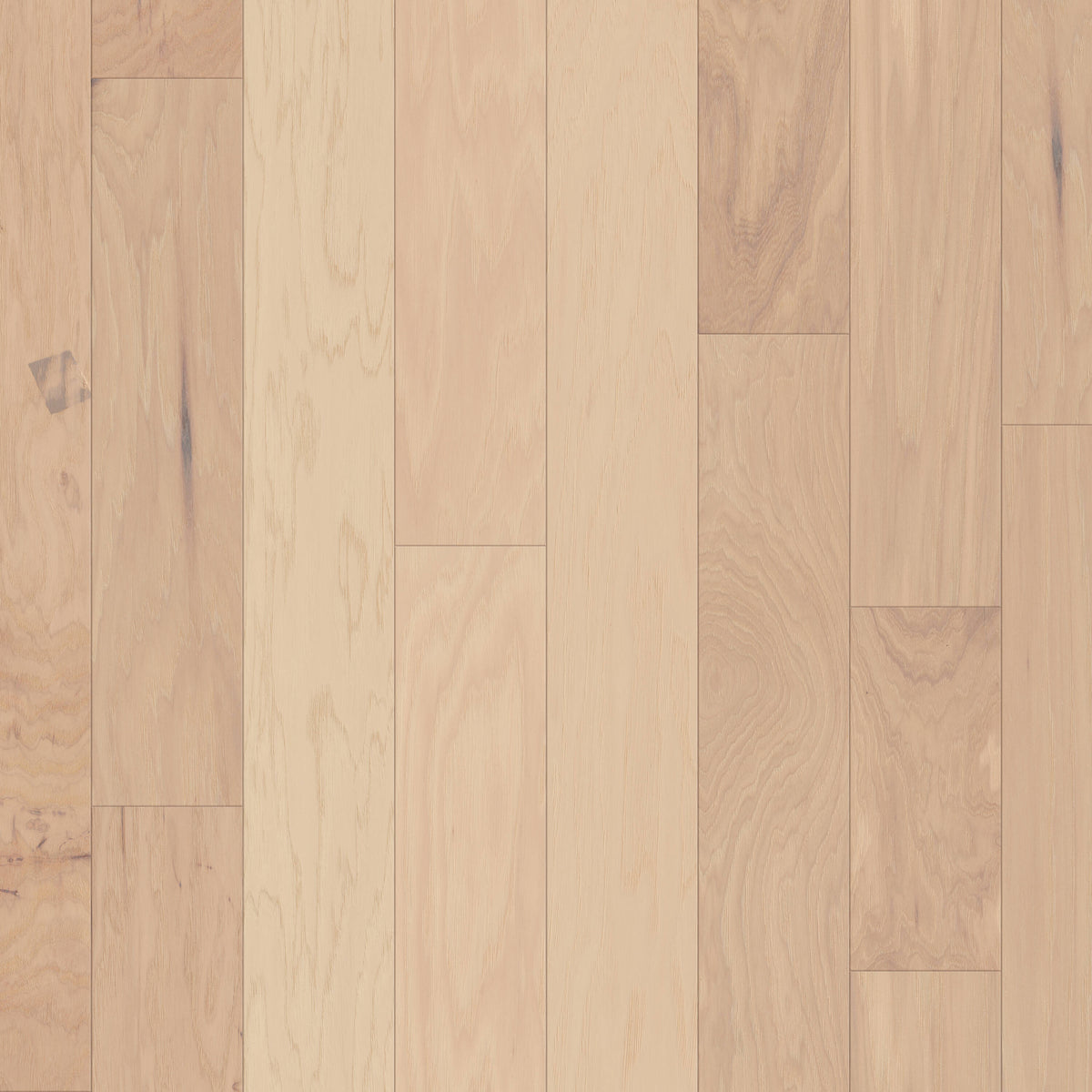 Shaw Hickory Forest hardwood flooring — primary plank view