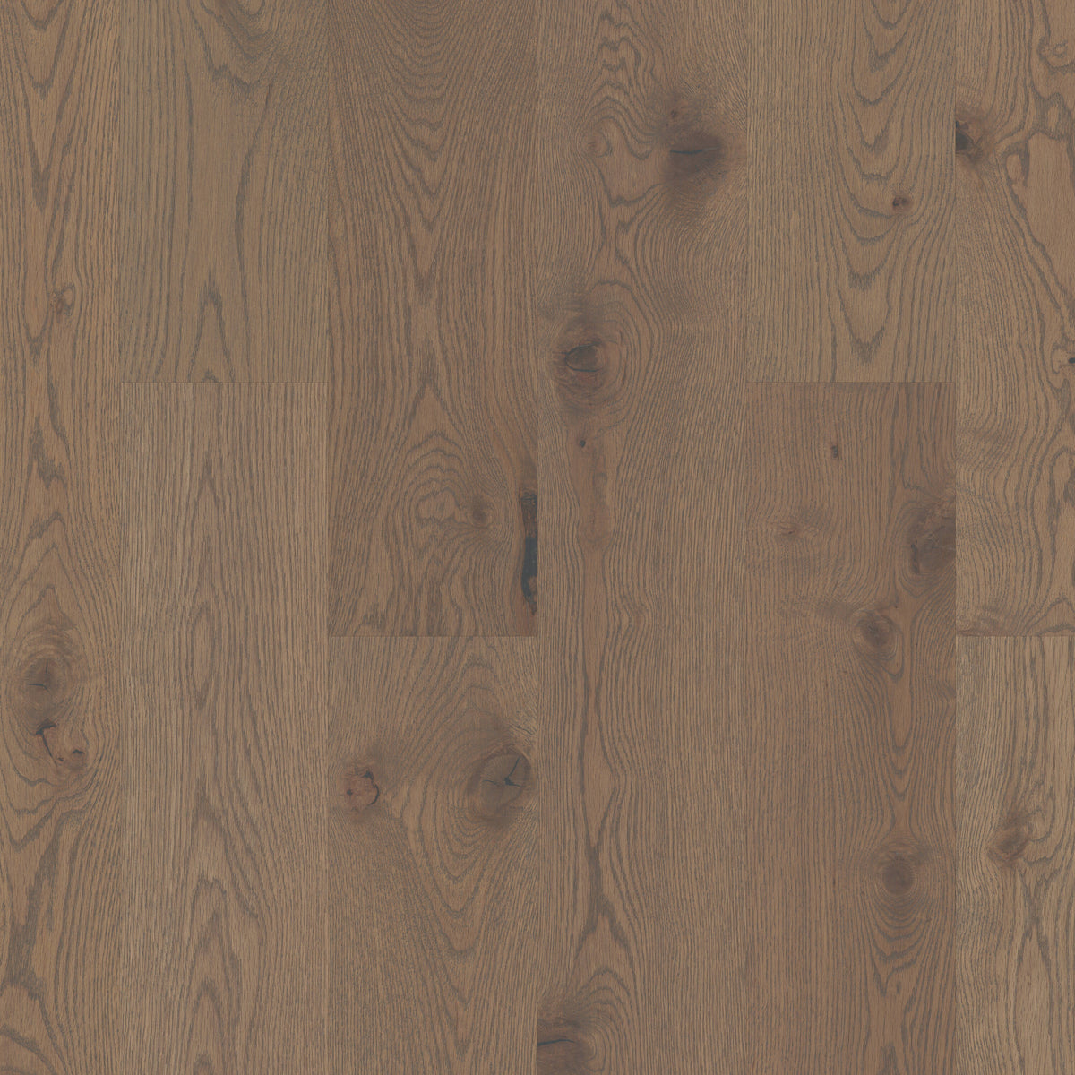 Shaw White oak Dublin hardwood flooring — primary plank view