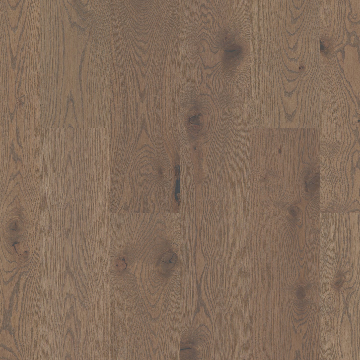 Shaw White oak Dublin hardwood flooring — primary plank view