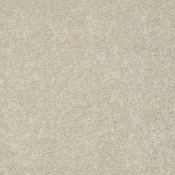 STAINMASTER PetProtect Baxter I Sadie Textured Carpet (Indoor)