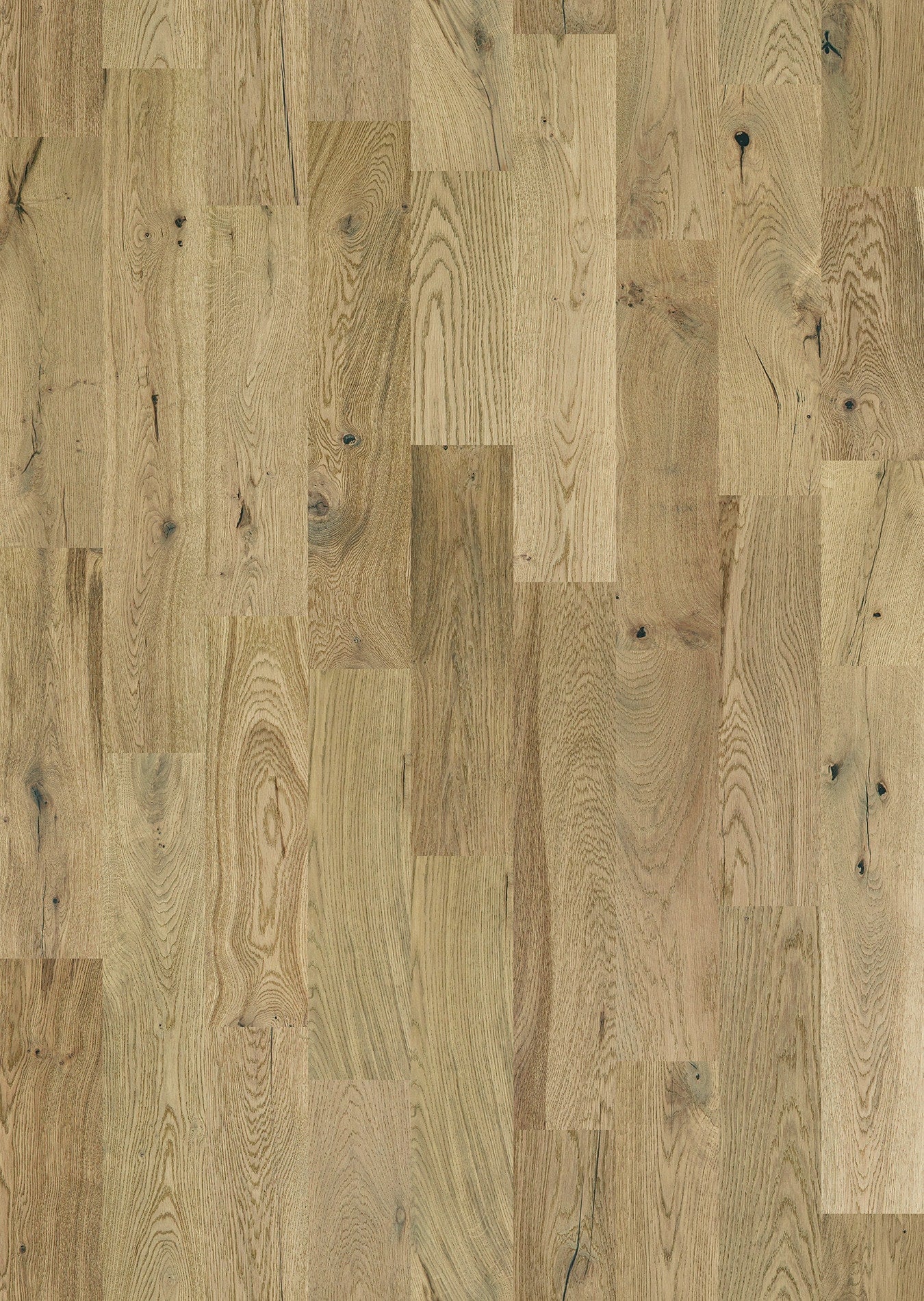 Shaw White oak Billings hardwood flooring — lifestyle view