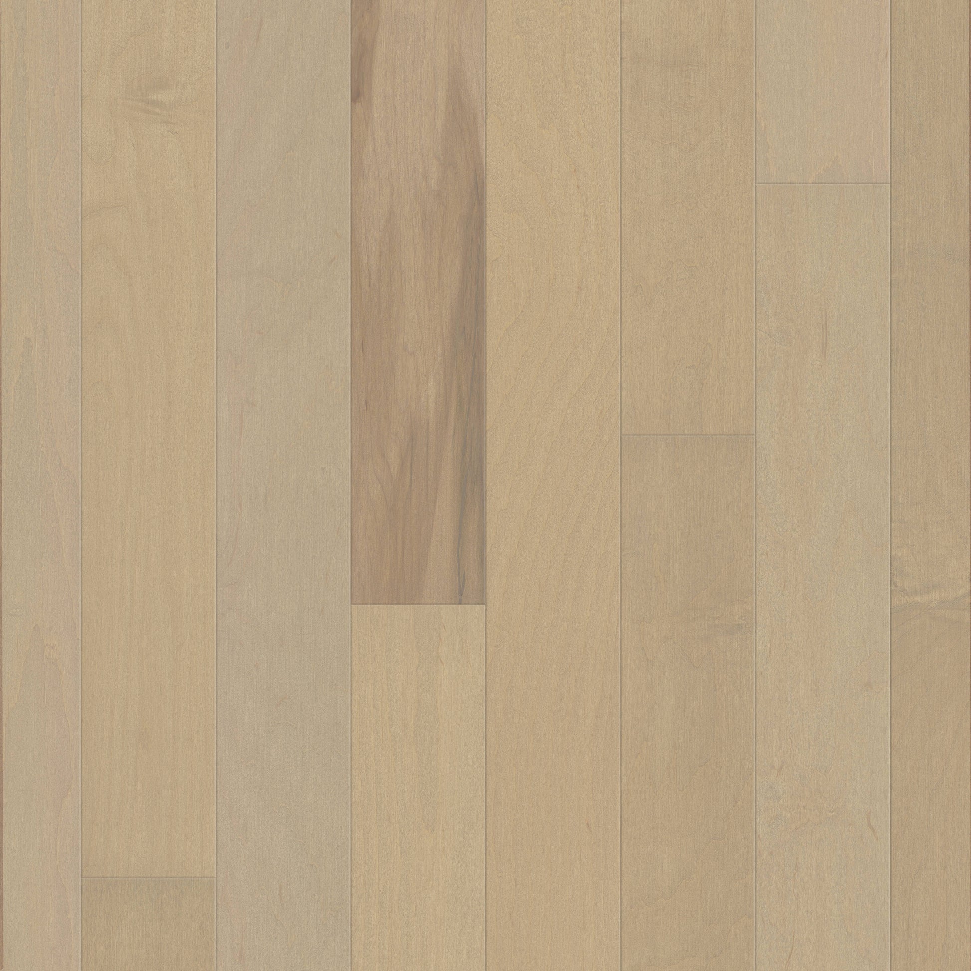 Shaw Maple Café Au Lait hardwood flooring — primary plank view