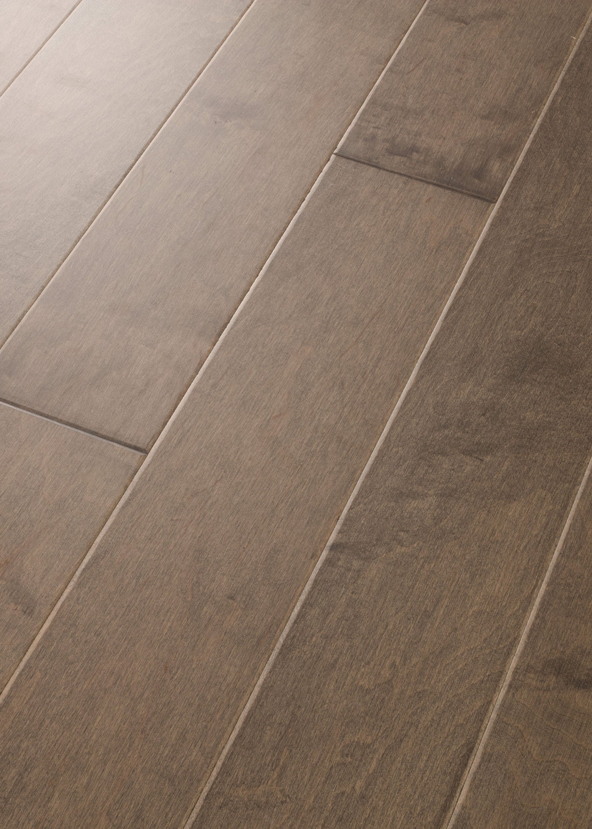 Shaw Maple Cortado hardwood flooring — color and finish detail