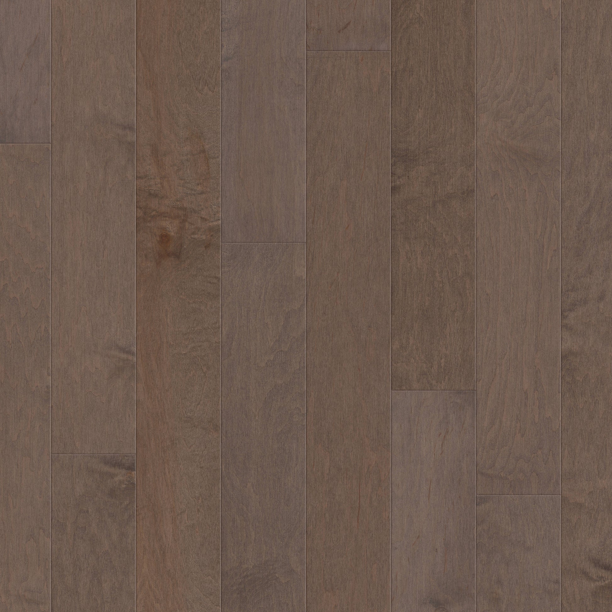 Shaw Maple Cortado hardwood flooring — primary plank view
