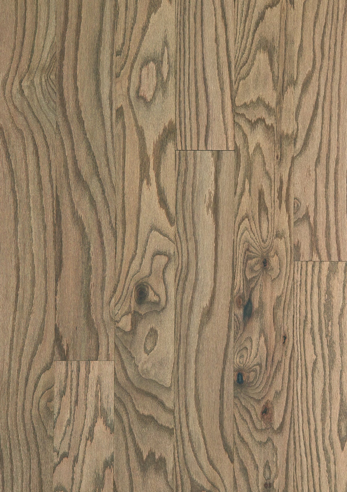 Shaw Red oak Cubano hardwood flooring — color and finish detail