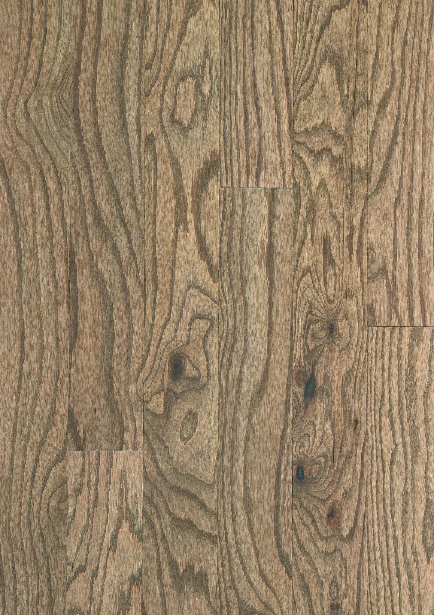 Shaw Red oak Cubano hardwood flooring — color and finish detail