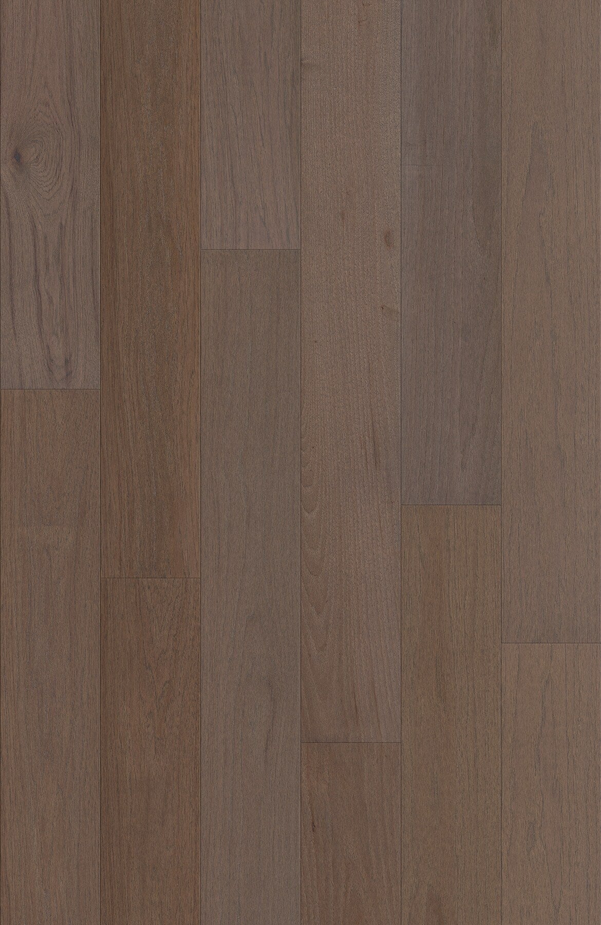 Shaw Hickory Baywater hardwood flooring — lifestyle view