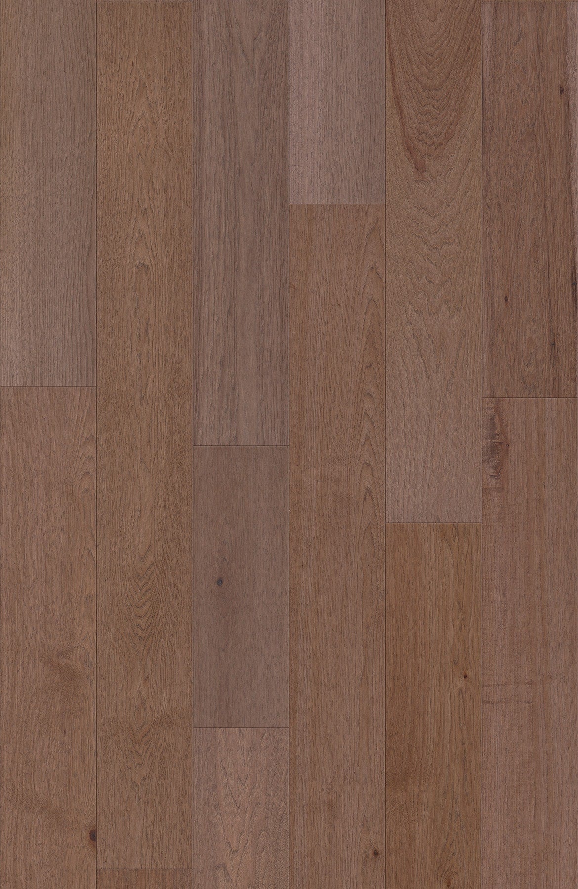 Shaw Hickory Brackish hardwood flooring — lifestyle view