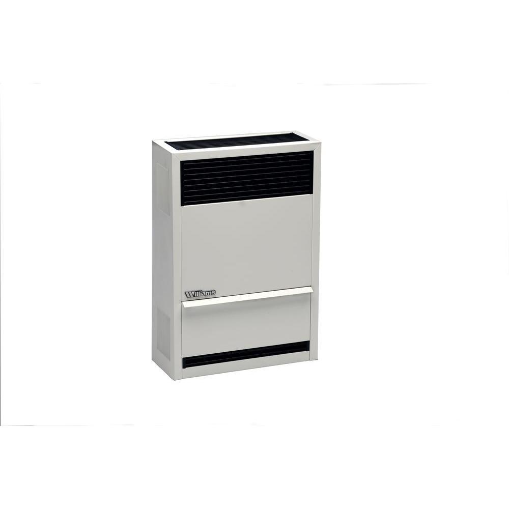 14,000 BTU/hr Direct-Vent Wall Heater Liquid Propane Gas - Super Arbor