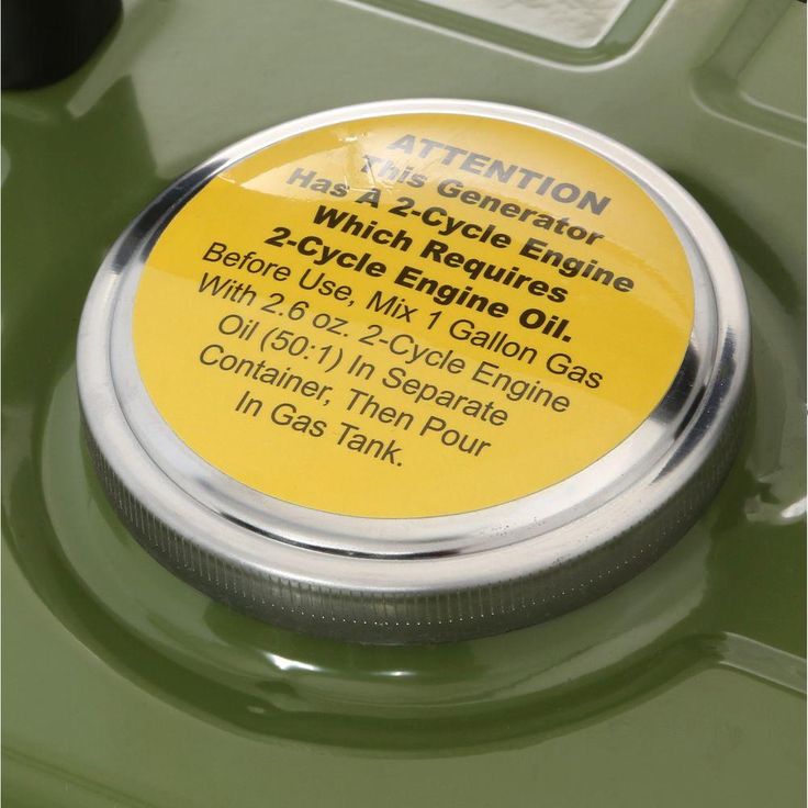 Sportsman 1,000/900-watt Gasoline Powered Portable Generator with 2-Stroke Brushless Motor
