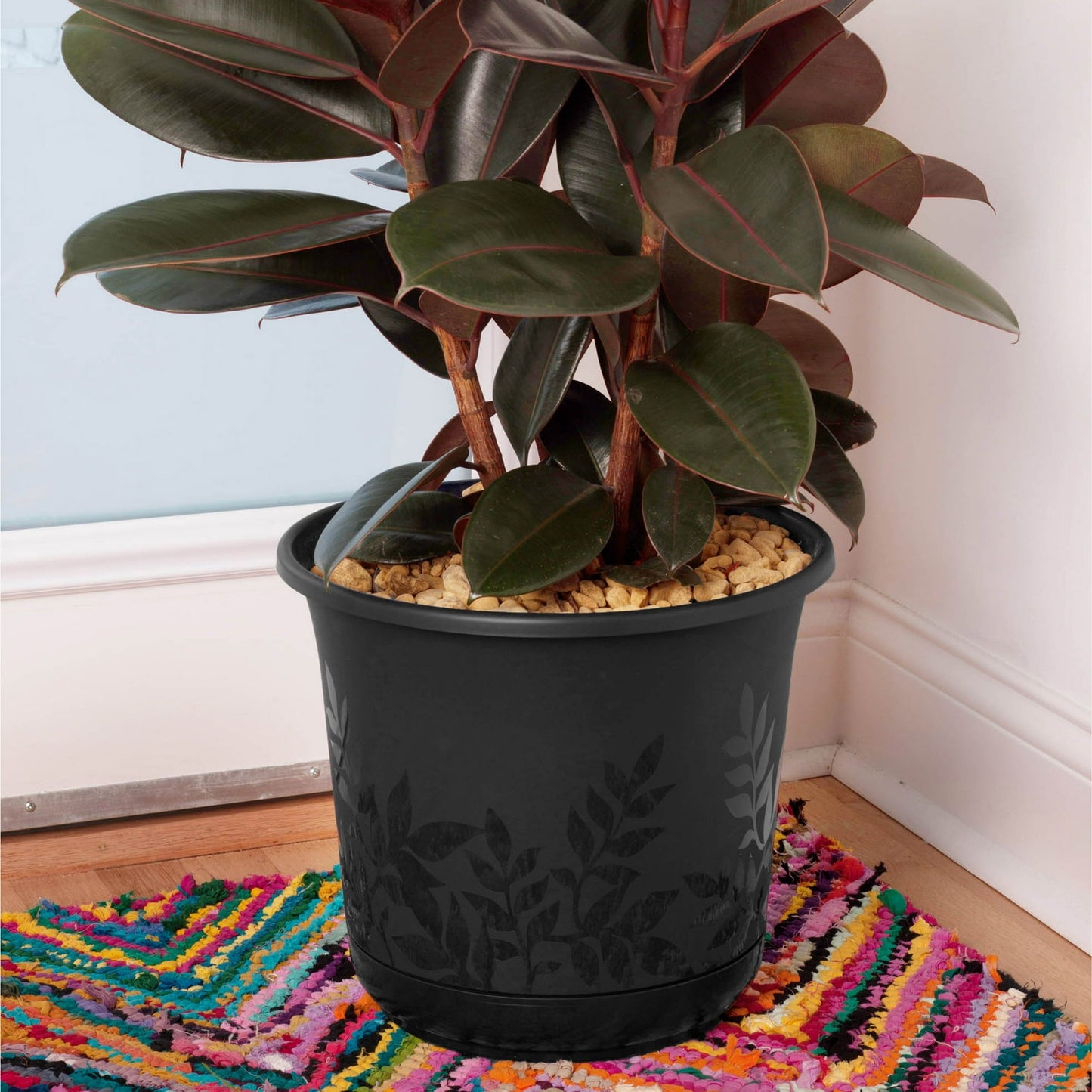 Bloem Freesia Planter w/Saucer 12" Black