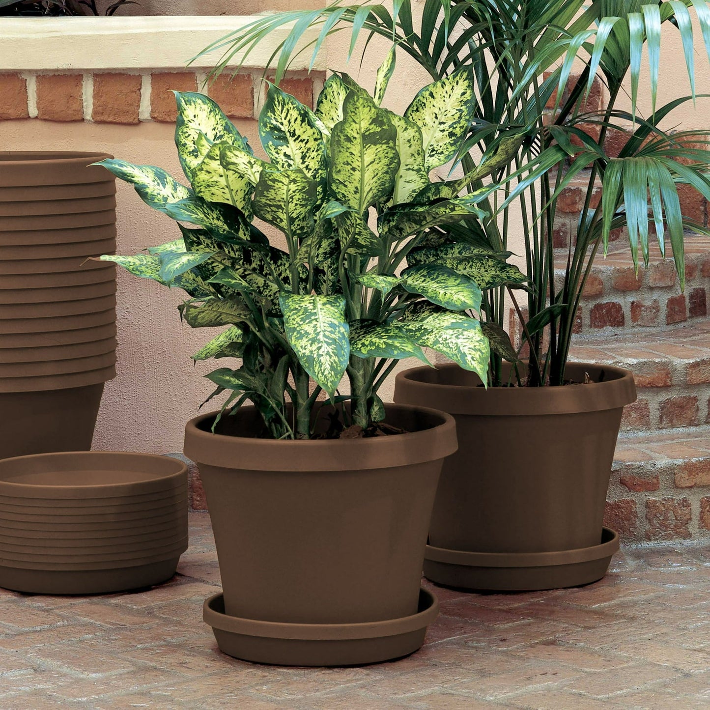 Bloem Terra Pot Planter 6" Chocolate