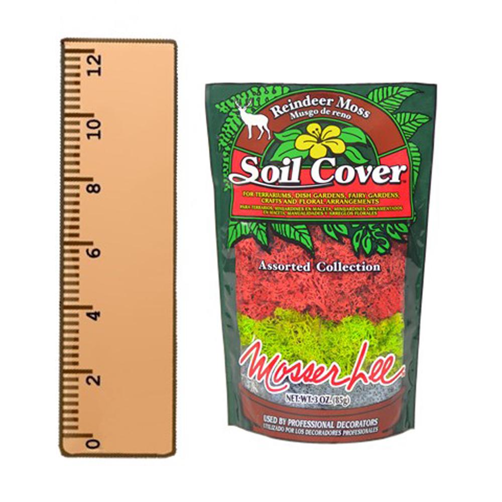Mosser Lee 3 oz. Reindeer Moss Assorted Collection - Super Arbor