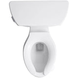 Wellworth Classic 2-Piece 1.6 GPF Single Flush Elongated Toilet in Biscuit - Super Arbor