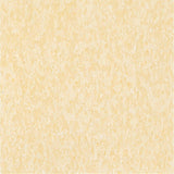 Armstrong Imperial Texture VCT 12 in. x 12 in. Blue Dreams Standard Excelon Commercial Vinyl Tile (45 sq. ft. / case) - Super Arbor