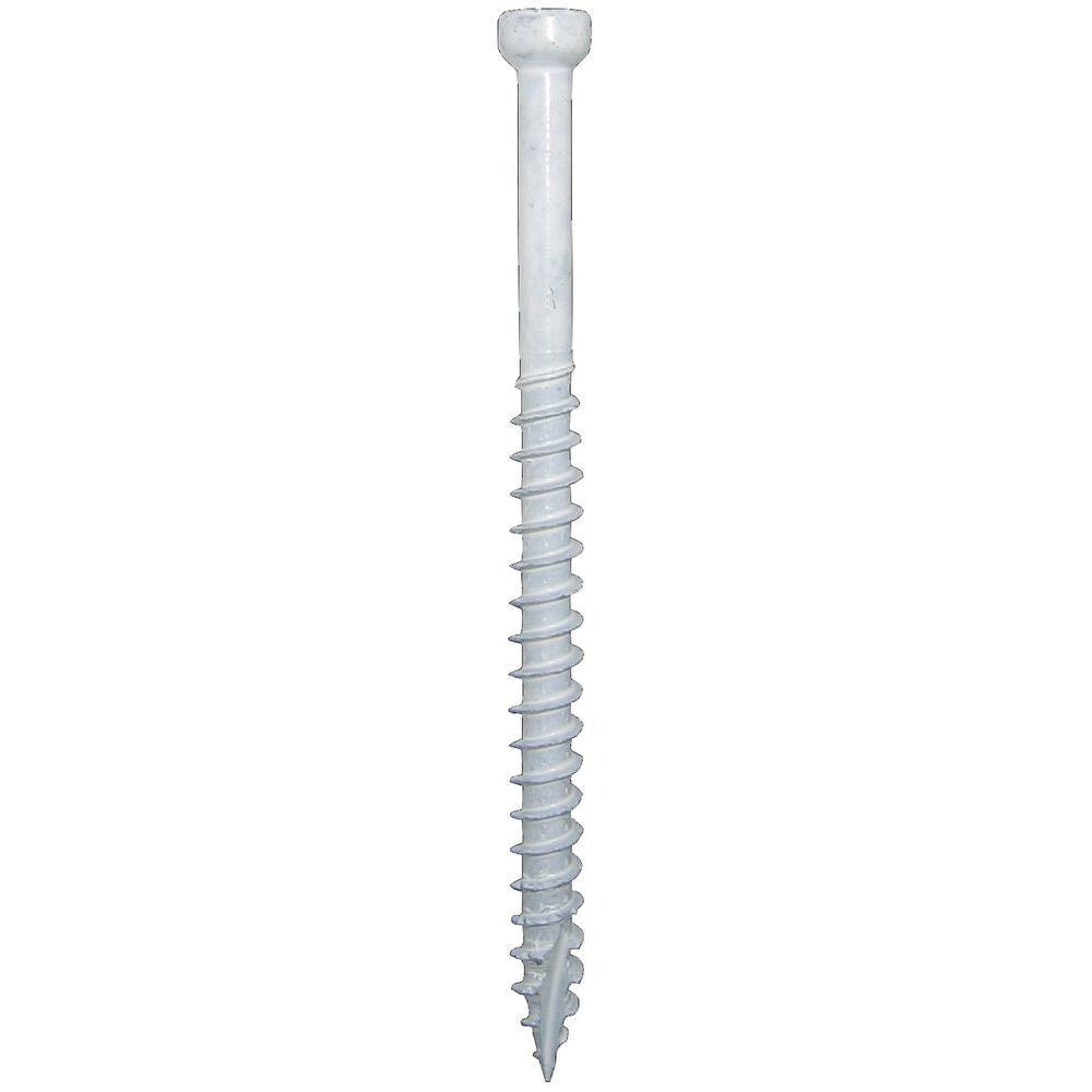 #8 x 2 in. Star Drive Trim-Head White Trim Screw (100-Pack)