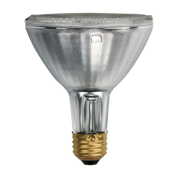 Philips 39-Watt PAR30L Halogen Soft White (2900K) Flood Light Bulb