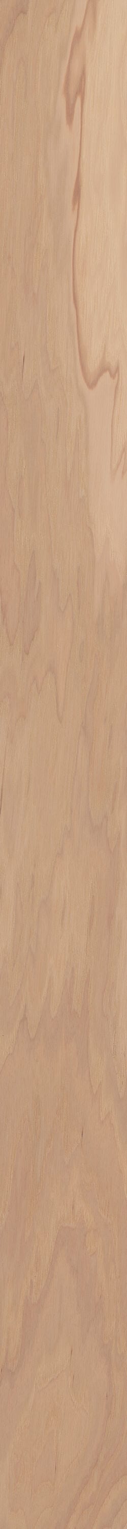 Shaw Hickory Forest hardwood flooring — lifestyle view