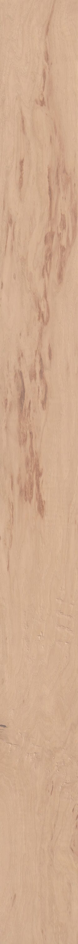 Shaw Hickory Williams hardwood flooring — lifestyle view