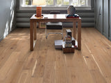 Shaw White oak Pawtucket hardwood flooring — installed room view