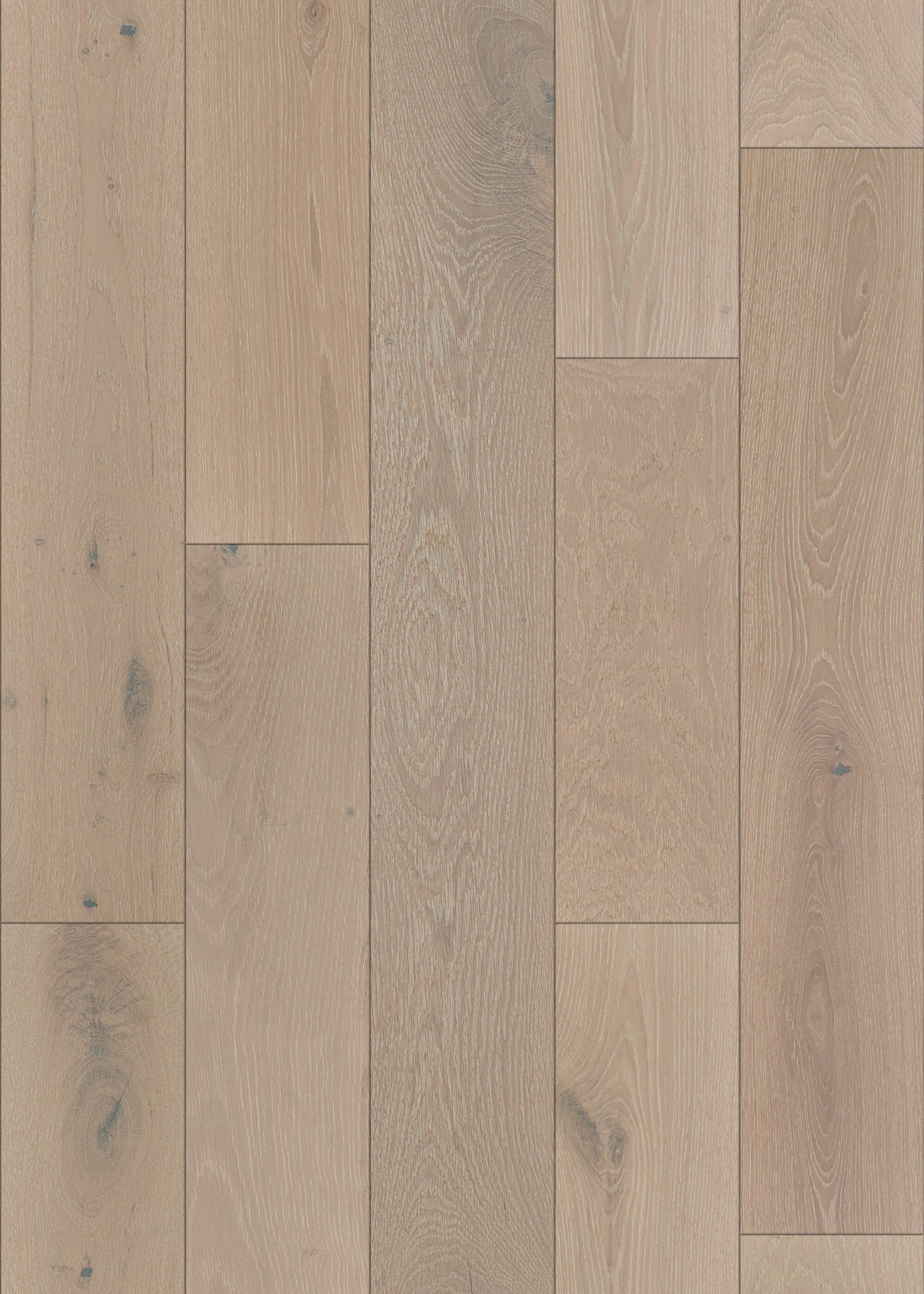 Shaw White oak Wynwood hardwood flooring — lifestyle view