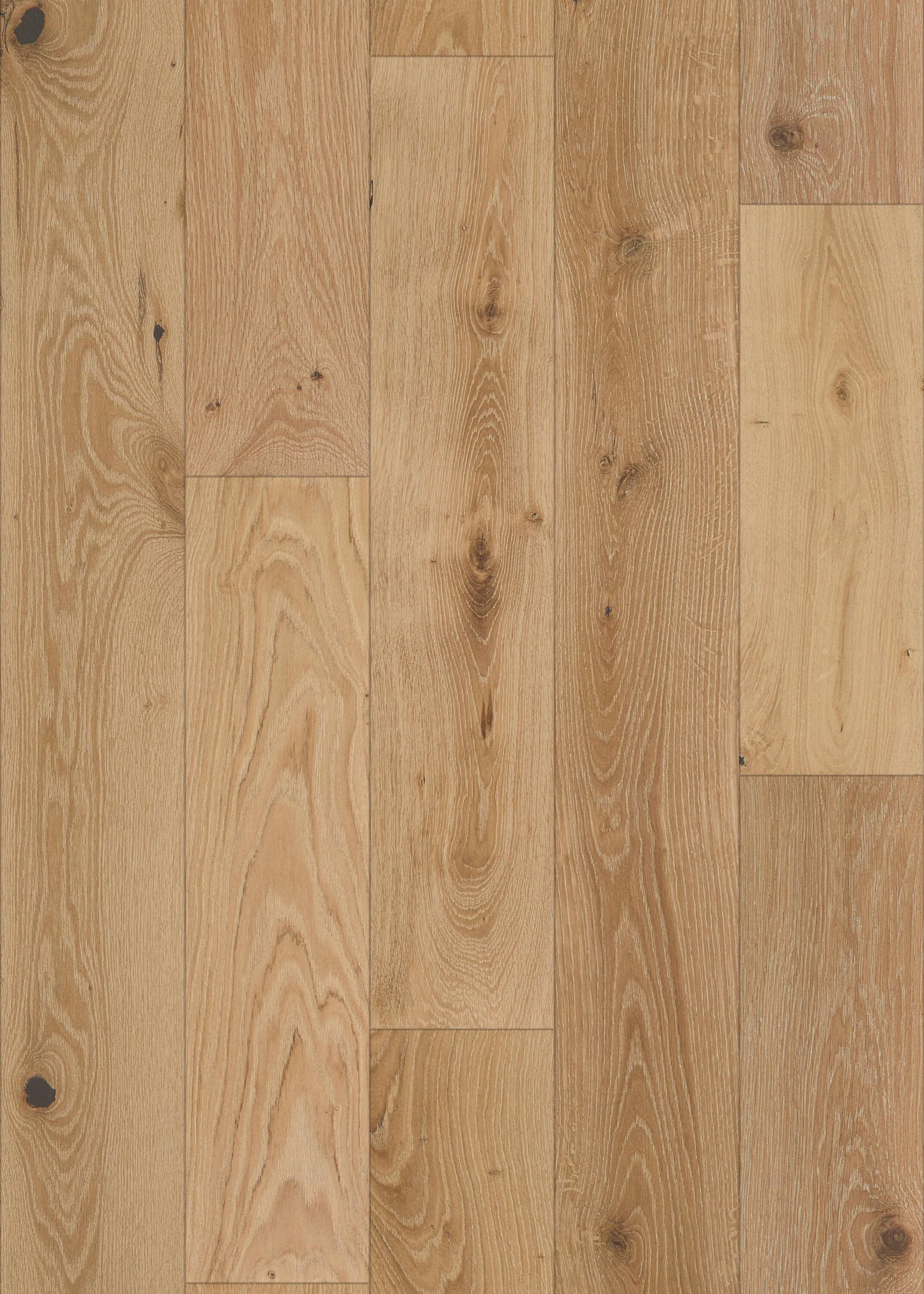 Shaw White oak East Austin hardwood flooring — lifestyle view