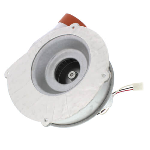 Rheem 703001 blower motor - detail view (Voltage: 120v; Product Type: Blower Motor)