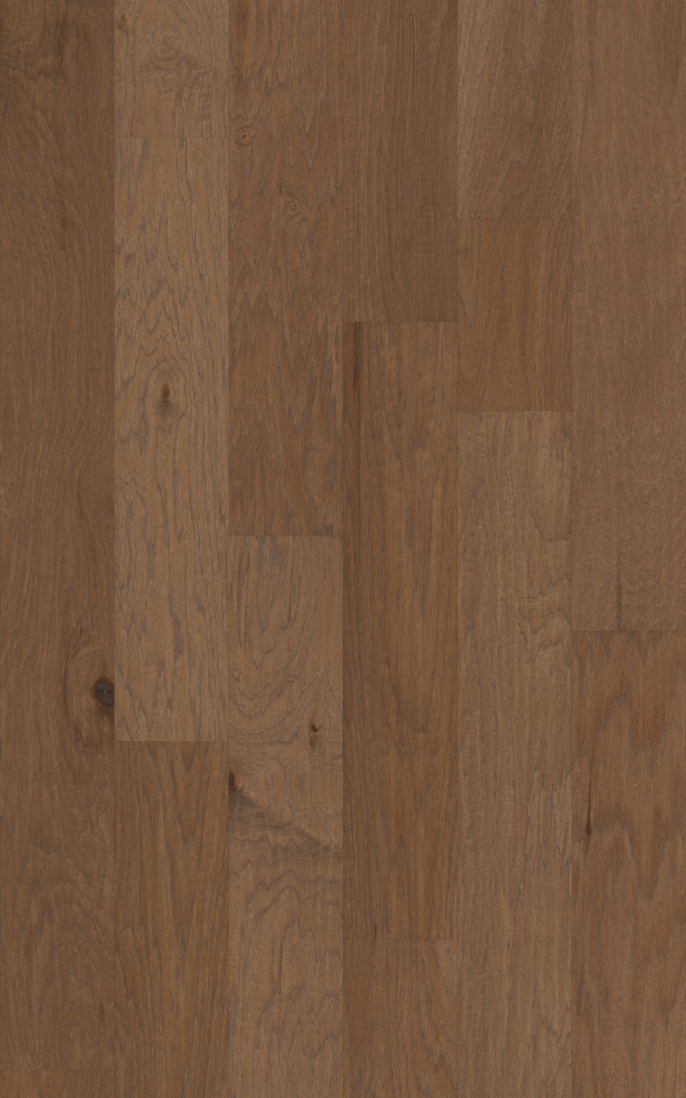 Shaw Hickory Sepia hardwood flooring — surface grain detail