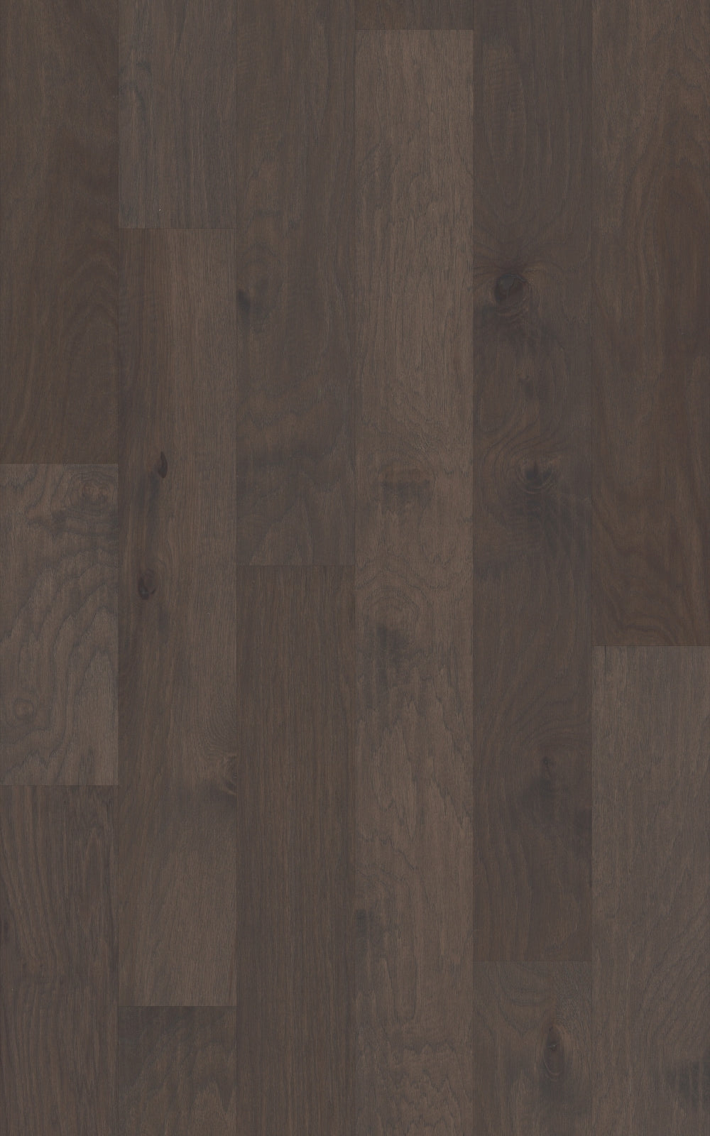 Shaw Hickory Americano hardwood flooring — surface grain detail