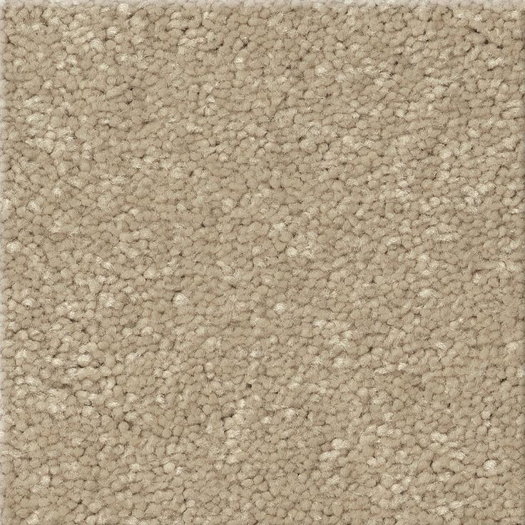 STAINMASTER Essentials Blue Diamonds I 12-ft Raw Lumber Textured Carpet Sample (Interior)