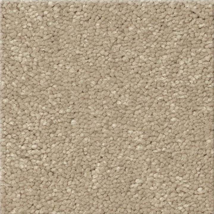 STAINMASTER Essentials Blue Diamonds I 12-ft Raw Lumber Textured Carpet Sample (Interior)