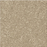 STAINMASTER Essentials Blue Diamonds III 12-ft Raw Lumber Textured Carpet (Indoor)
