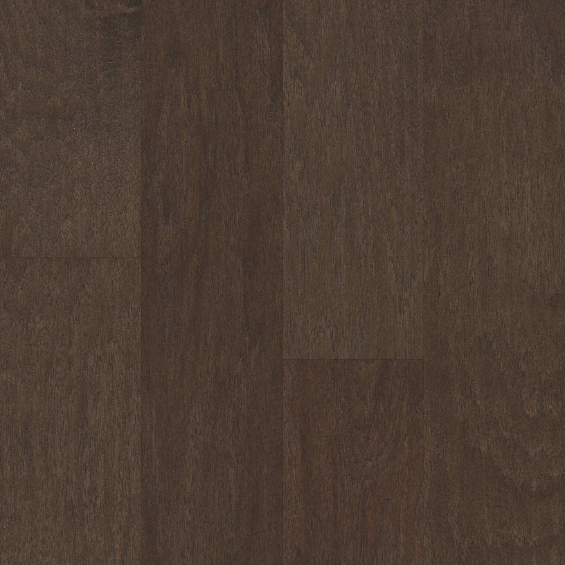 Shaw Hickory Cocoa hardwood flooring — primary plank view