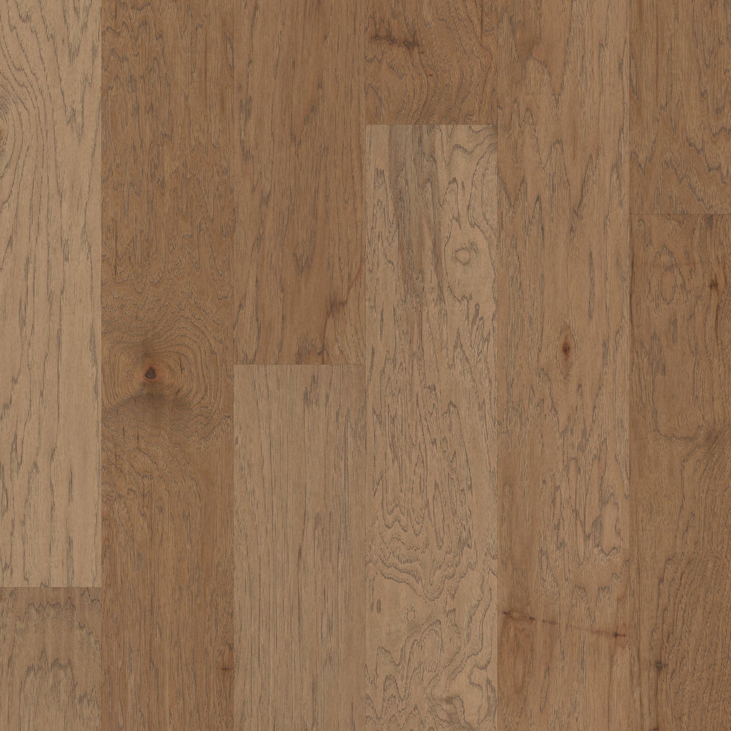 Shaw Hickory Serengeti hardwood flooring — primary plank view