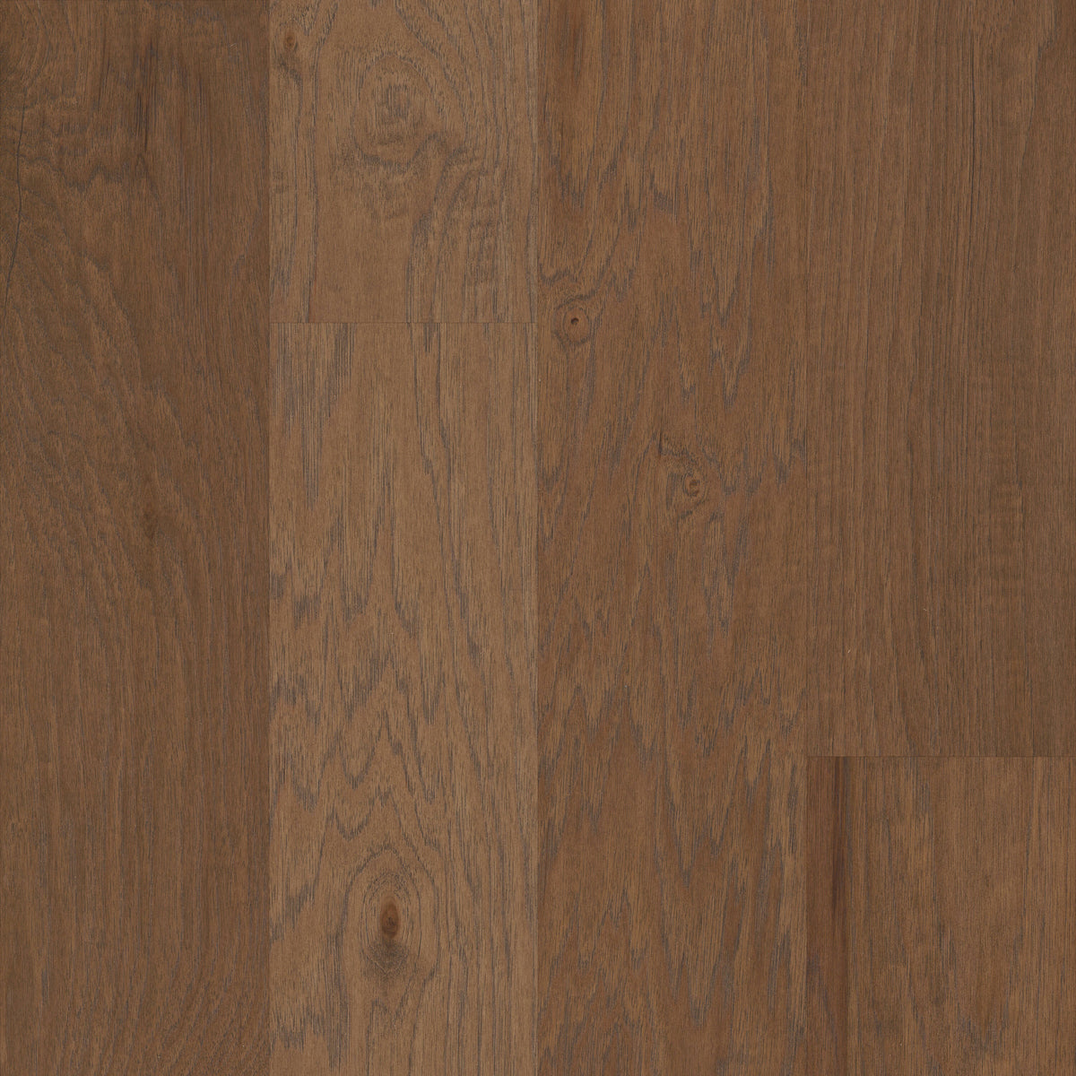 Shaw Hickory Sepia hardwood flooring — primary plank view