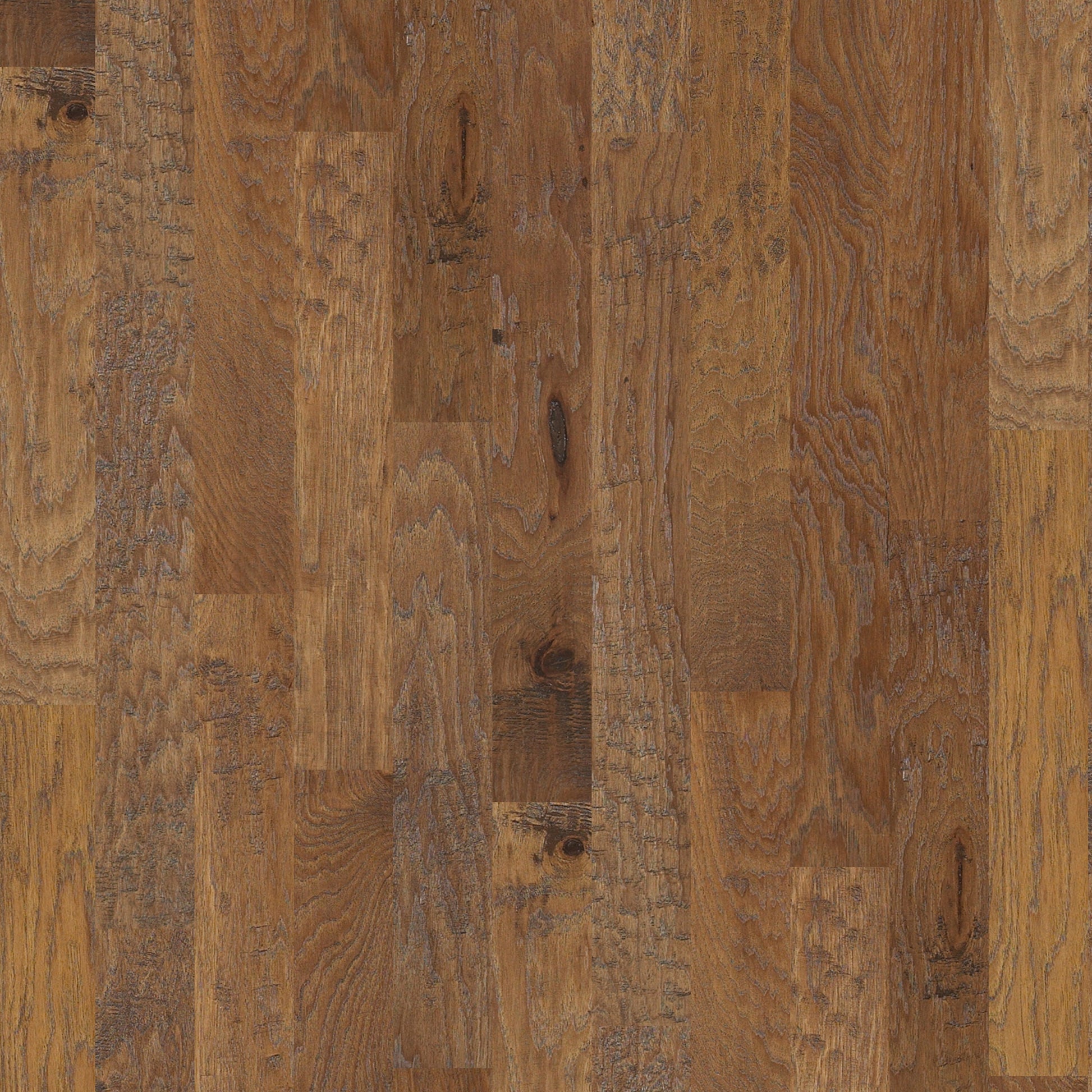 Shaw Hickory Timber hardwood flooring — primary plank view