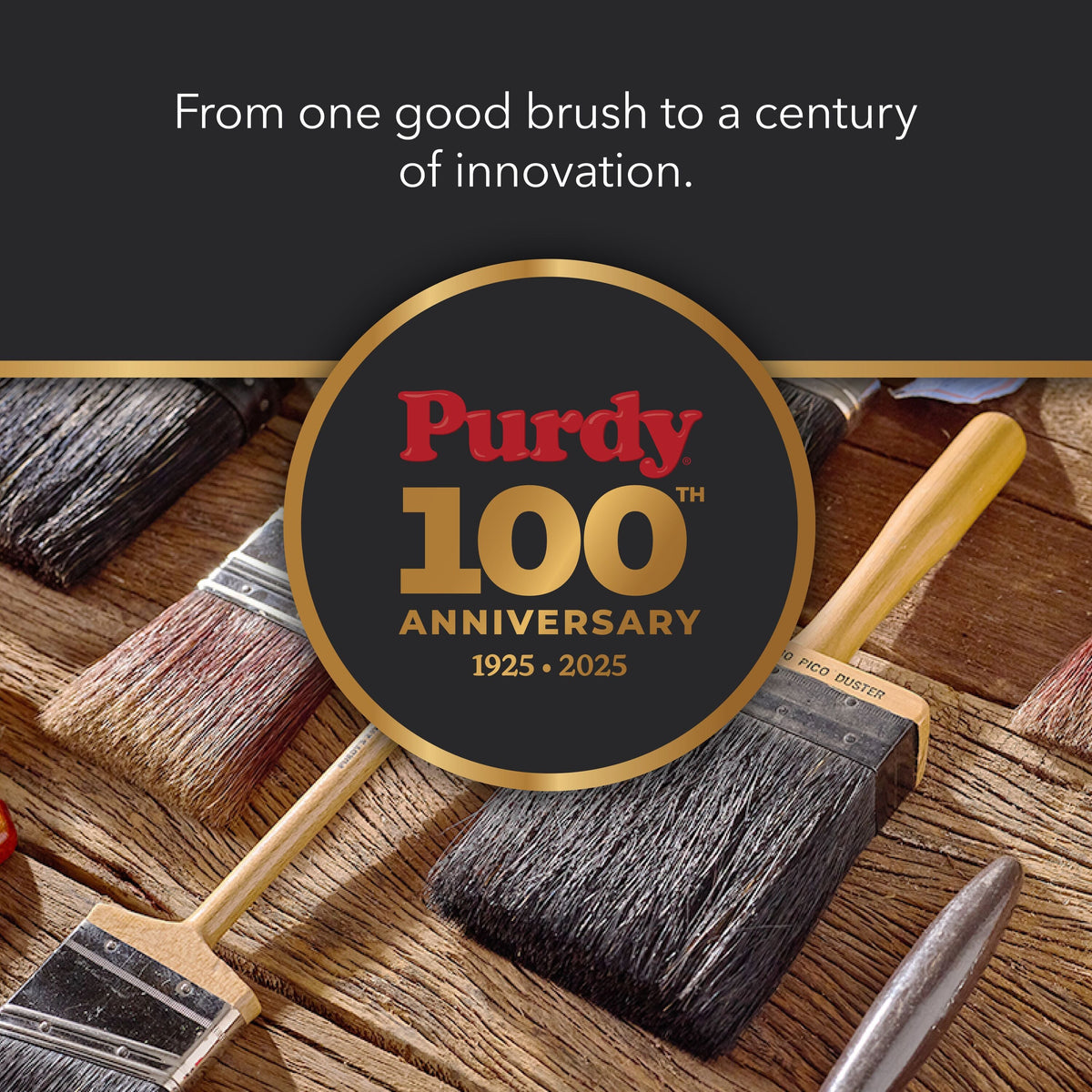Purdy Clearcut Dale Nylon-Polyester Blend Angled 2-in Paint Brush