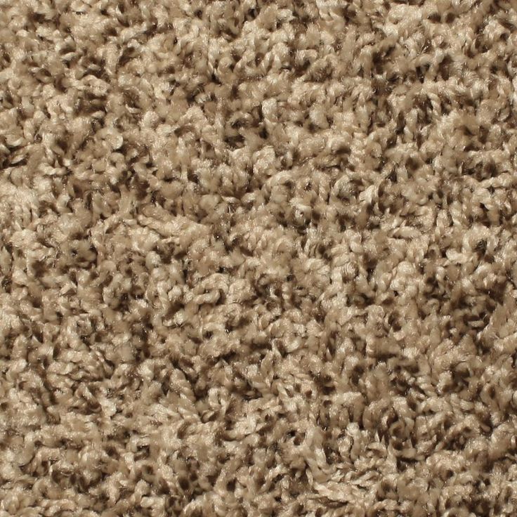 STAINMASTER Essentials Palmer Twin Peak Textured Carpet Sample (Interior)