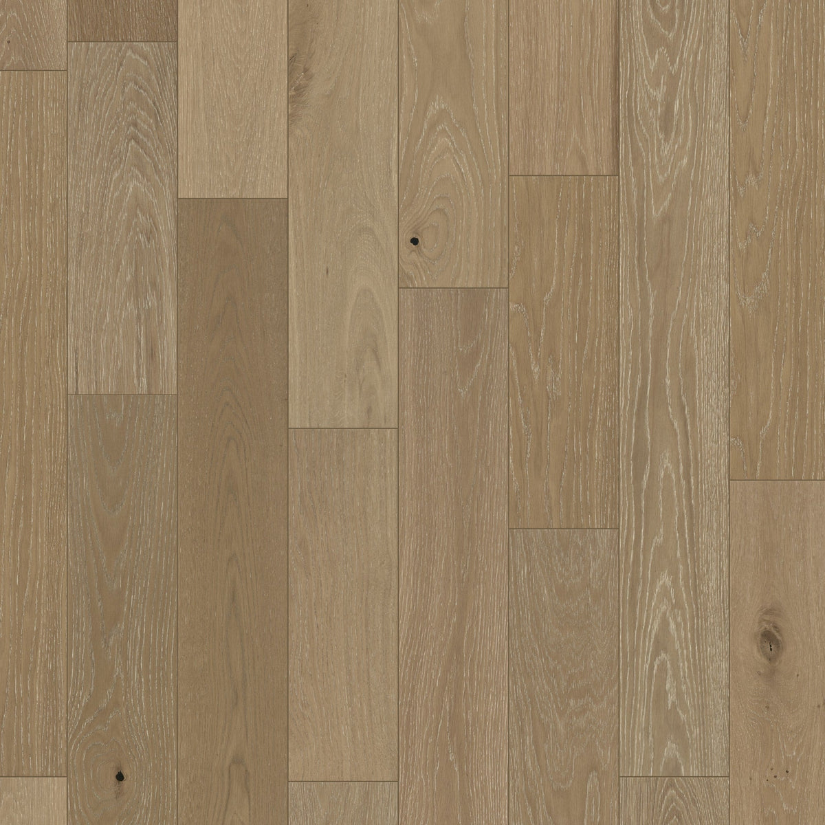 Element Flooring European white oak Logan hardwood flooring — primary plank view