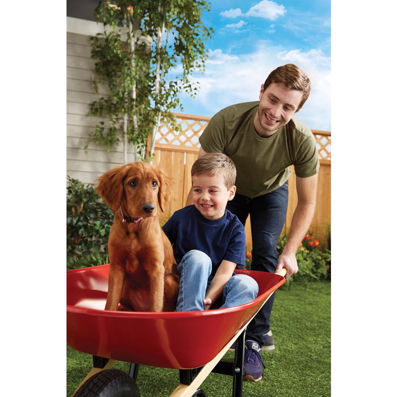 Ace Steel Residential Wheelbarrow, 4 cu. ft., Pneumatic Tire, Red