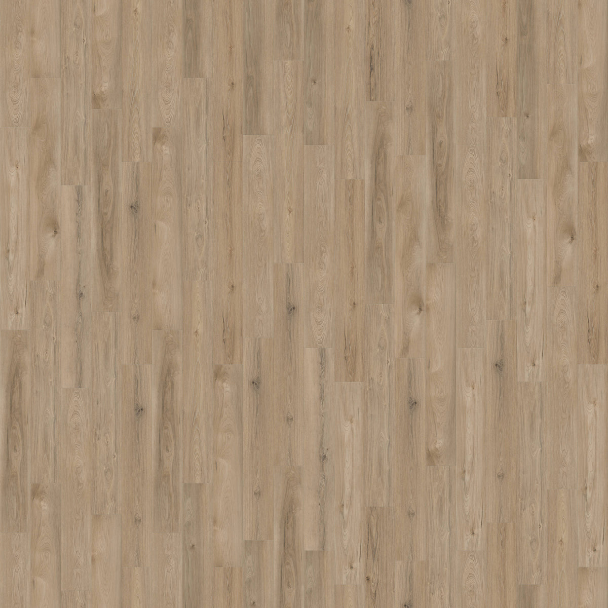CALI Laguna Artisan Shoal Vinyl Plank Flooring - 20-mil, Waterproof, 18.15 sq ft Carton