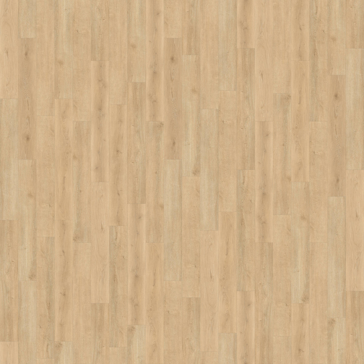 CALI Legends Driftwood Shore 20-mil Waterproof Luxury Vinyl Plank Flooring - 22.44 sq ft Carton