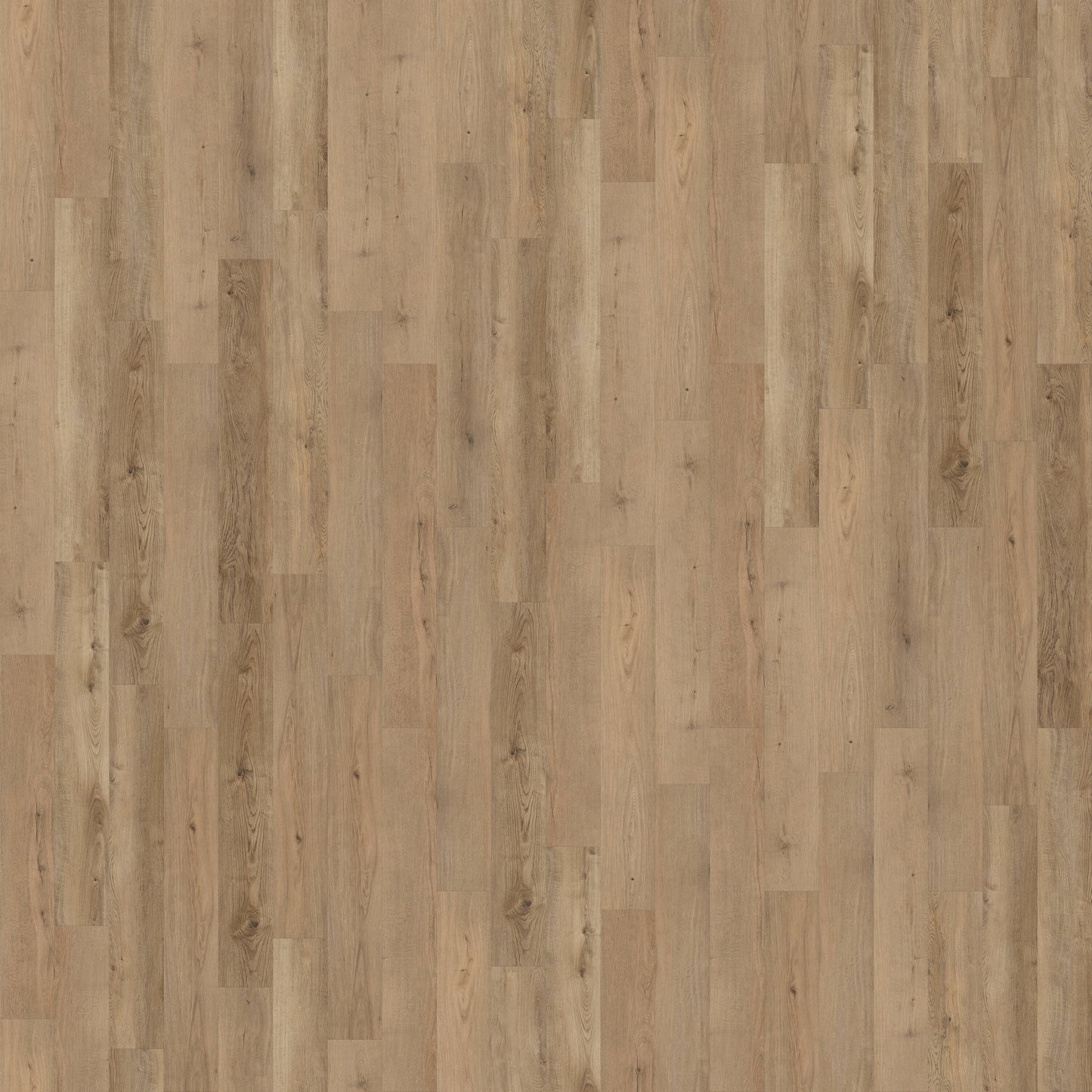 CALI Legends Oyster Isle Waterproof Vinyl Flooring Sample Pack - 20-mil Wear Layer