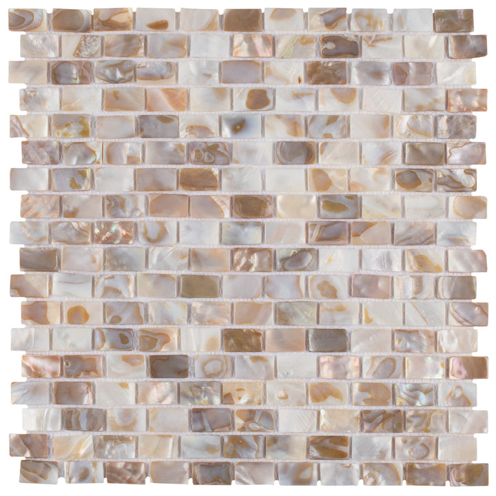 Affinity Tile Conchella Subway Natural 12-in x 13-in Glossy Natural shell Mosaic Wall Tile product image